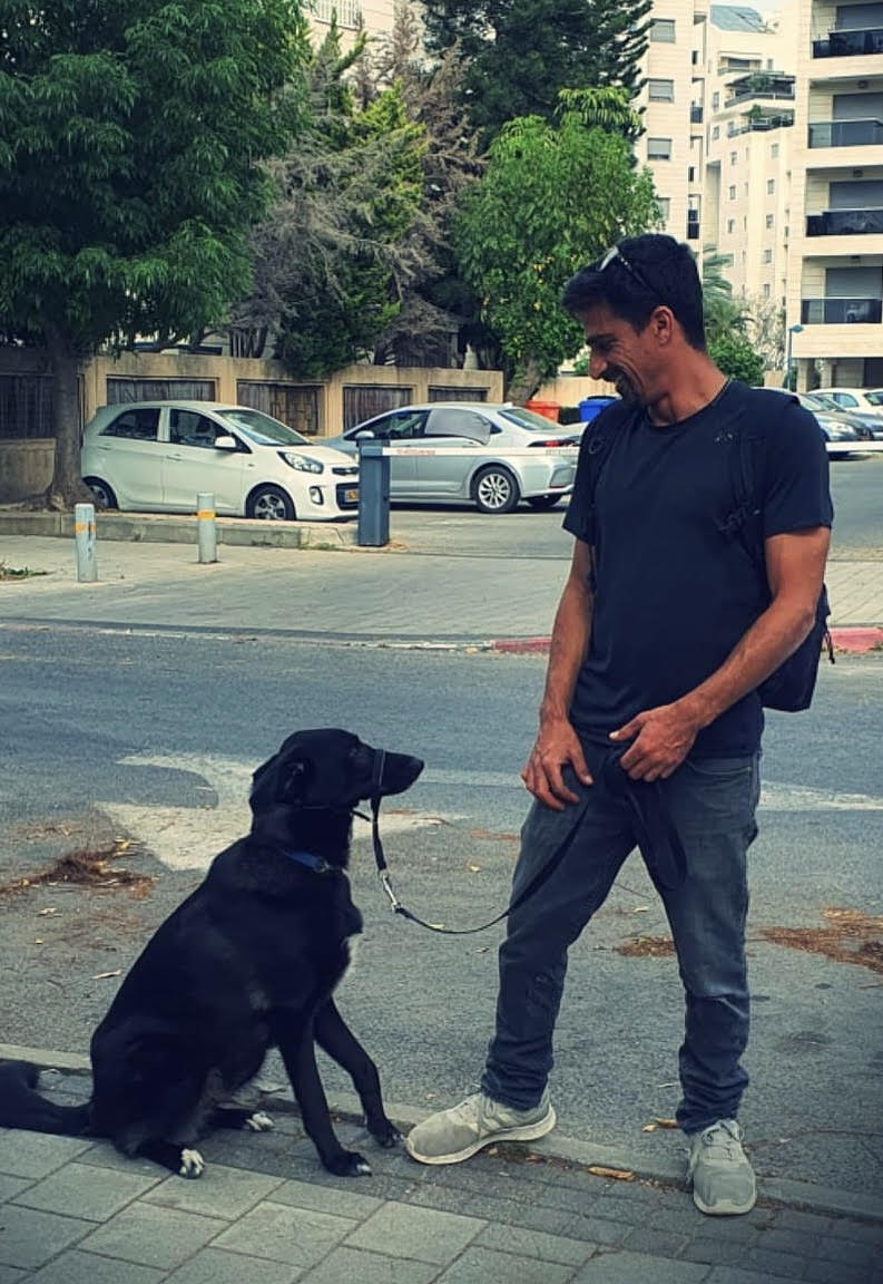 פאוהאוס - בית לכלבים