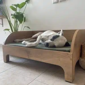 מיטה איכותית לכלבים מכל הגדלים